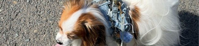 ナイト's header image