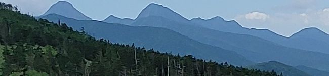 reitry's header image