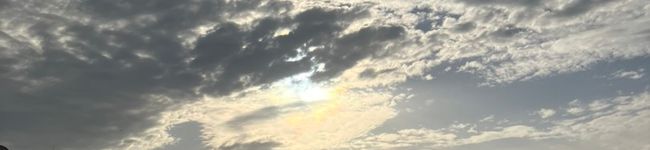 料理好きな人's header image