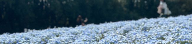 hama♪♪♪'s header image