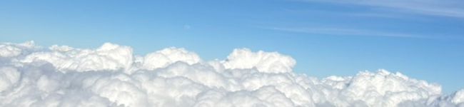 ぽこまる's header image