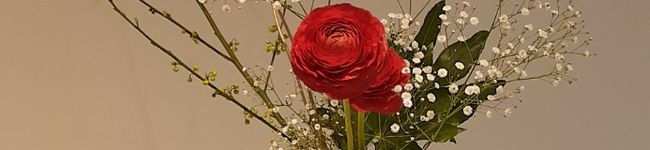 おこげましゅまろ's header image
