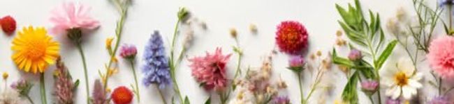ブリ谷's header image