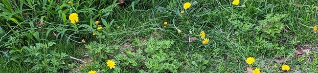 クックG8FZ0R☆'s header image