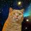 宇宙猫