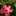 クック7LDE7O☆