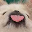 ちょぼ