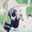 Sachi