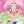 ＊＊こんぺいとう＊＊