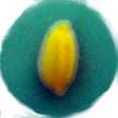 cookeso620