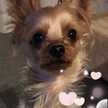 PinkWanco