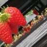 Hiroℳªℳª