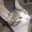しまこねこ