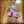 mayu_kko