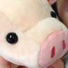 クックSYLH81☆