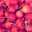 ruby384cas