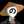 のーみん丁