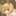 うさくま0202 うさくま0202