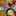 瑠花mamaきよ 瑠花mamaきよ