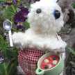 ｐｏｔｔｏ