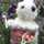 potto potto