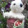 ｐｏｔｔｏ