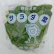はままつサラダ菜