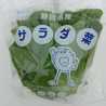 はままつサラダ菜