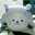 *きなこもちこ*