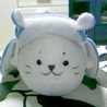*きなこもちこ*