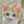 みやび32