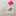 Ichi916 Ichi916