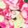 MOKO_tpt