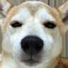 もなぽん。