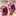 shiori5131 shiori5131