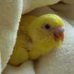 Qwteey