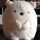 Ponsuke02 Ponsuke02