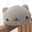 にゃこゆき