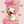 クック5XJVY5☆