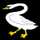 swan1220