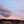 ブチのずぼらめし