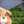 tomi---52