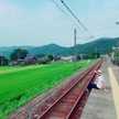 だーうえ03
