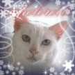 ramucat124