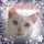 ramucat124