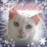 ramucat124