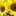cookaki523