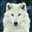 wolf_xx