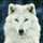 wolf_xx