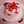 pin_
